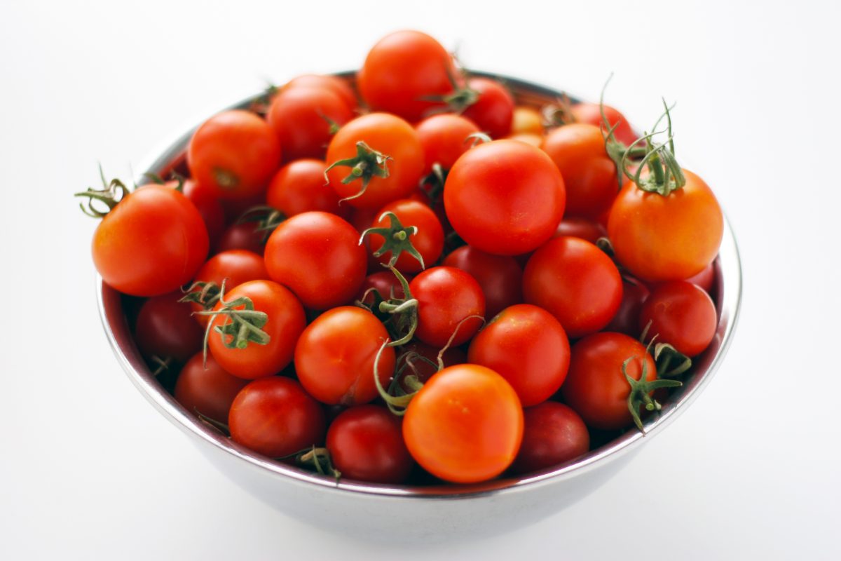 トマトの学名 Solanum Lycopersicum について トマペディア